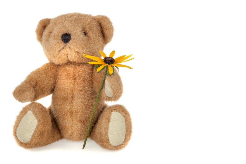 A New Beginning Awaits with Compassionate Hoarder Clean Up Services